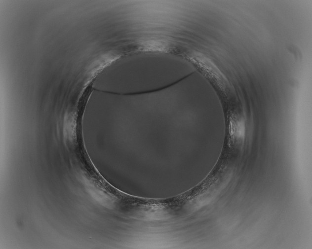 X0000111860492200908061339