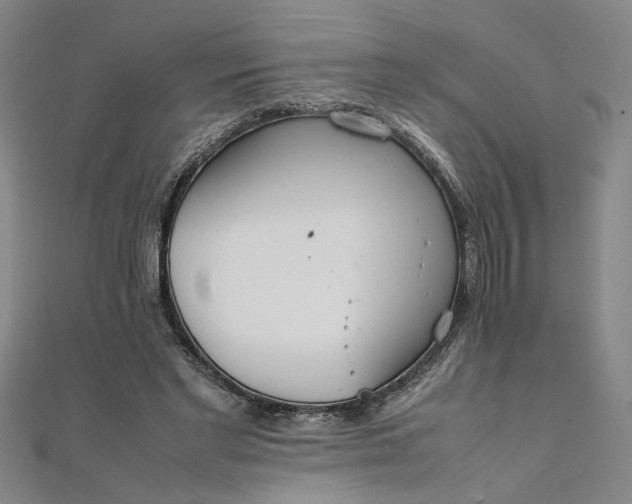 X0000111860493200908061339