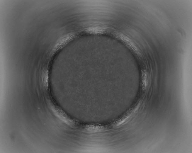 X0000111860494200908061339