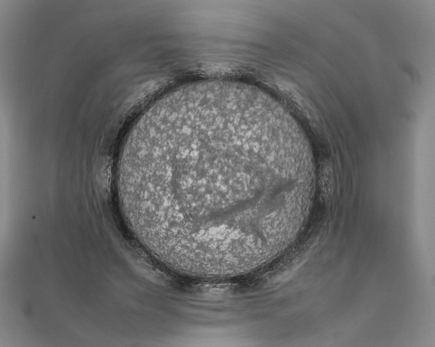 X0000111860495200908061339