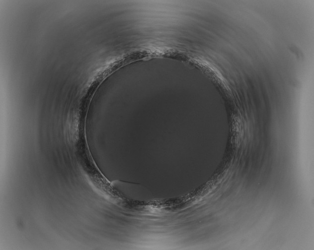 X0000111860496200908061339