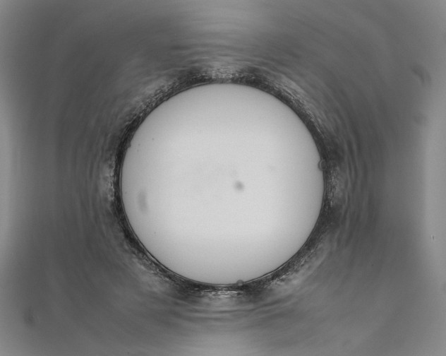 X0000111860497200908061339