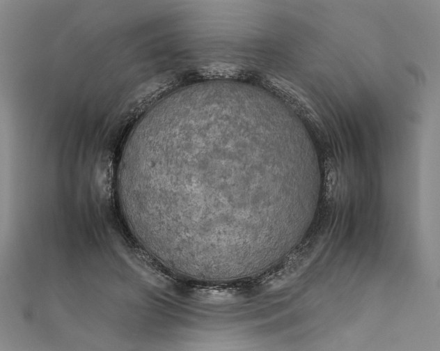 X0000111860498200908061338