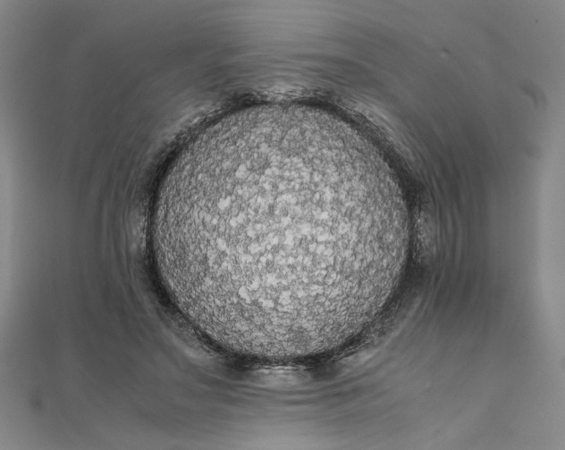 X0000111860499200908061338