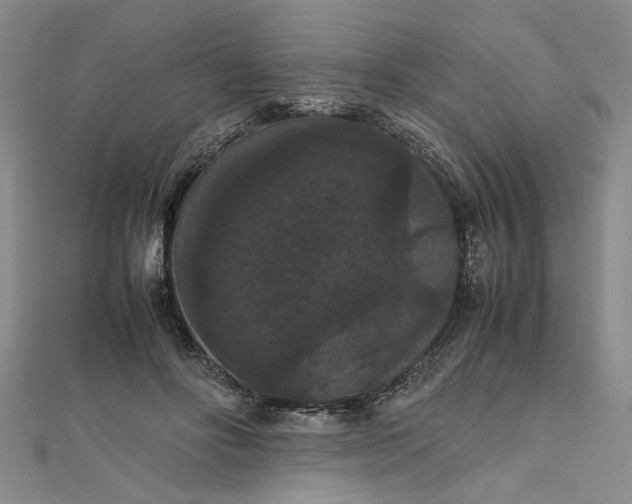 X0000111860502200908061338