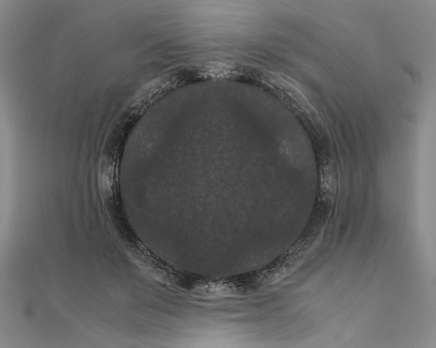 X0000111860503200908061338