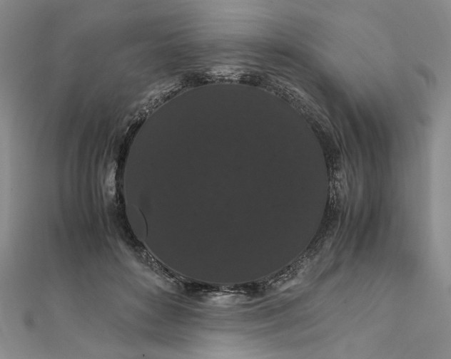 X0000111860504200908061338