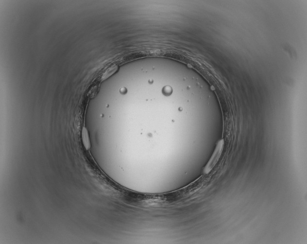 X0000111860505200908061338