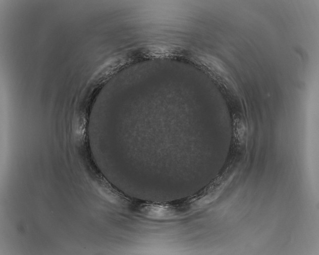 X0000111860507200908061338