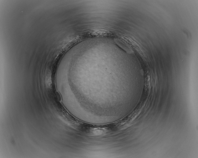 X0000111860508200908061338