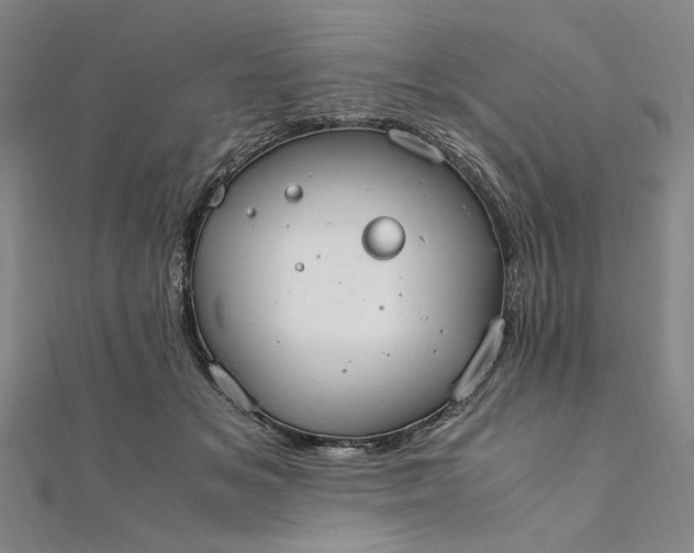 X0000111860509200908061338