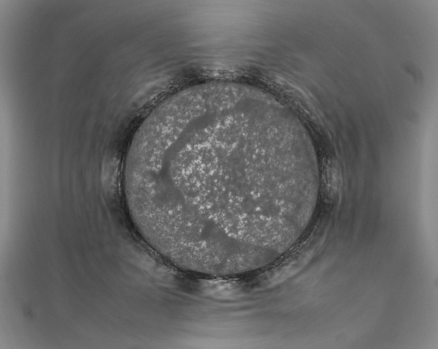 X0000111860511200908061338