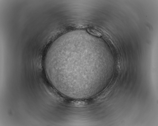 X0000111860512200908061338