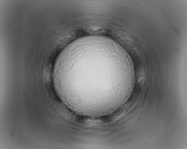 X0000111860515200908061338