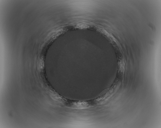 X0000111860517200908061338