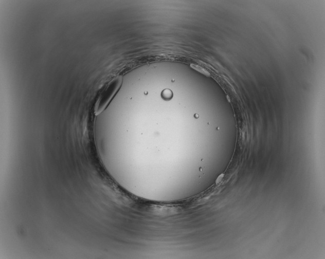 X0000111860520200908061338