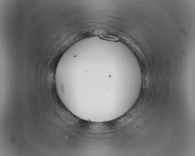 X0000111860521200908061338