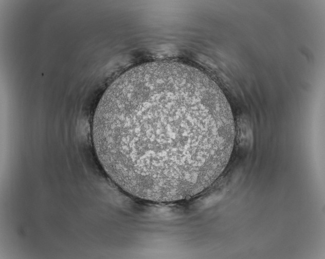 X0000111860523200908061338