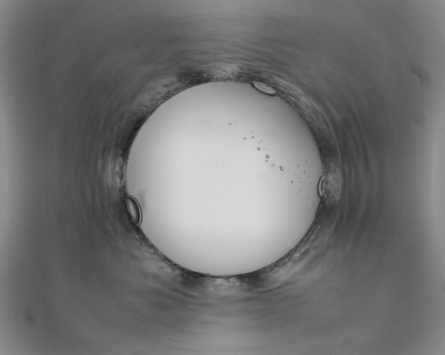 X0000111860525200908061338