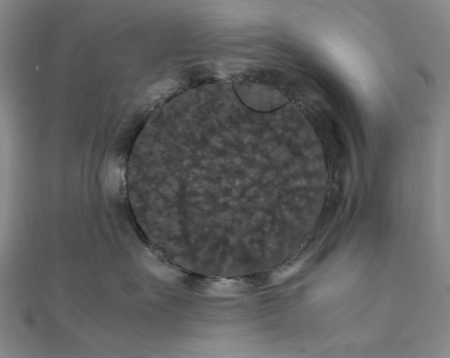 X0000111860527200908061338