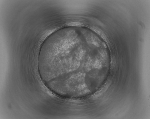 X0000111860529200908061337