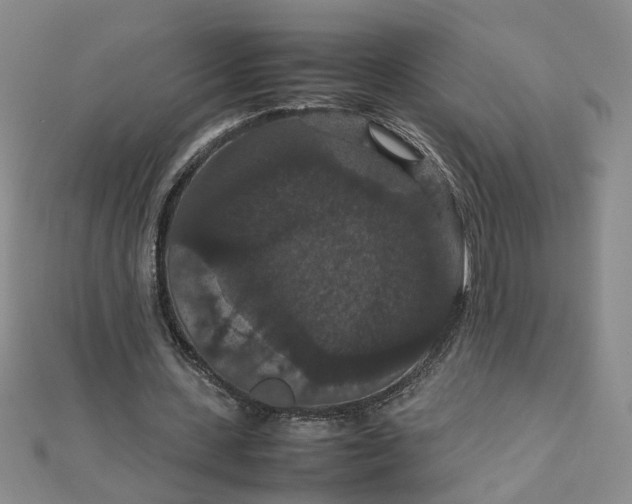 X0000111860531200908061337