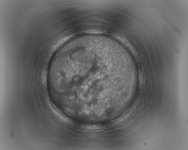 X0000111860533200908061337