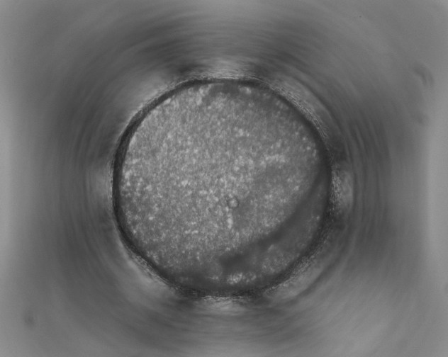 X0000111860534200908061337