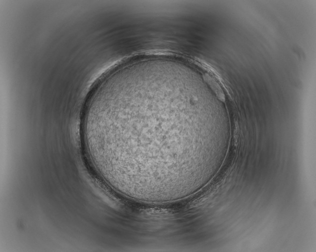 X0000111860535200908061337