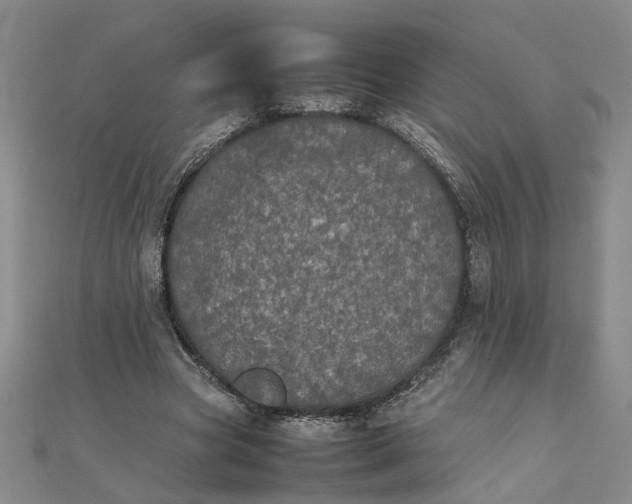 X0000111860537200908061337