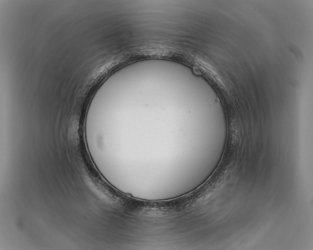 X0000111860538200908061337