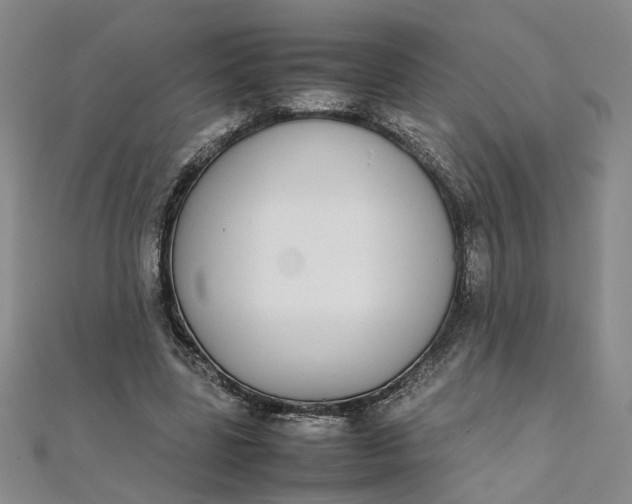 X0000111860539200908061337