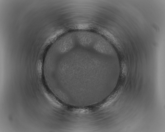 X0000111860542200908061337