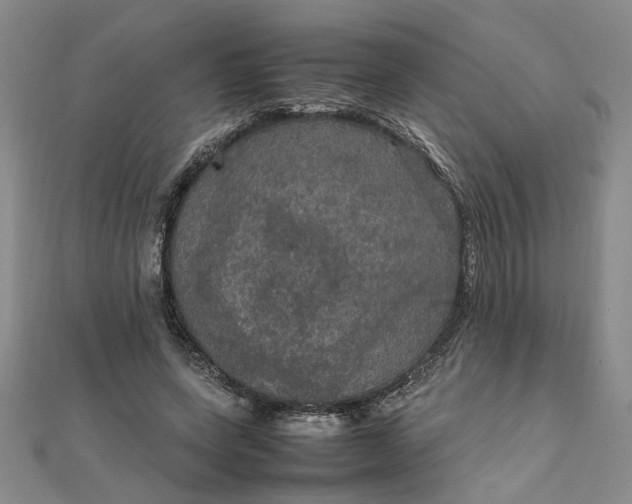 X0000111860543200908061338