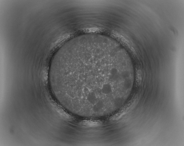 X0000111860545200908061338