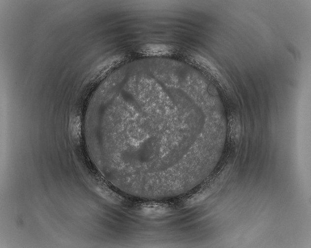 X0000111860549200908061338