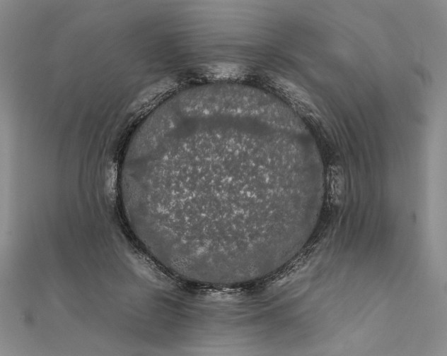 X0000111860550200908061338