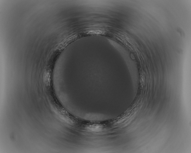 X0000111860551200908061338