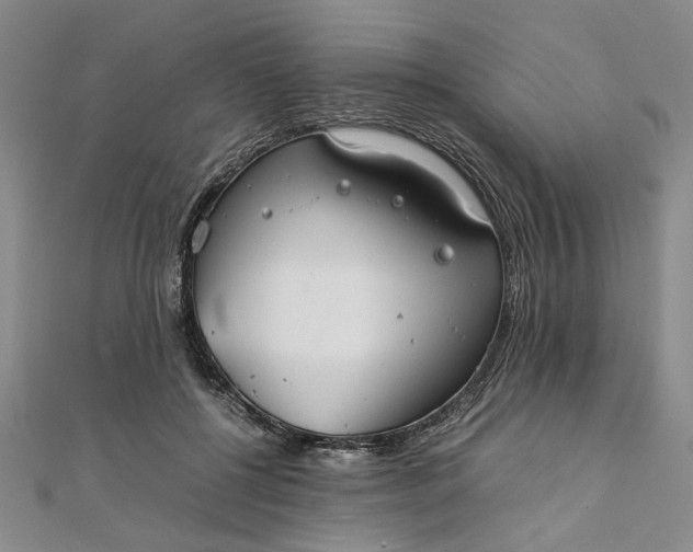 X0000111860552200908061338