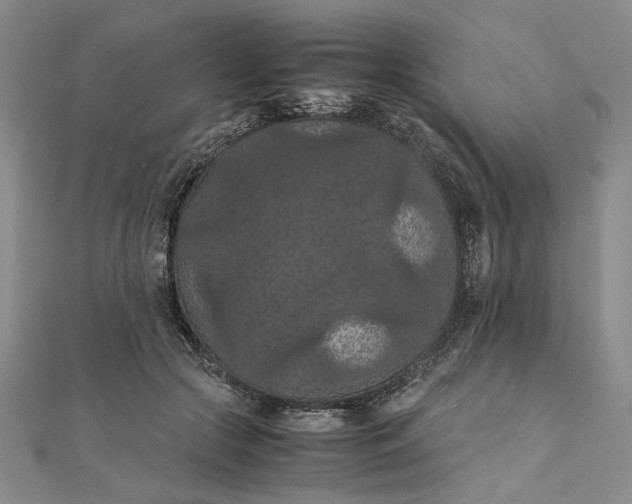 X0000111860553200908061338