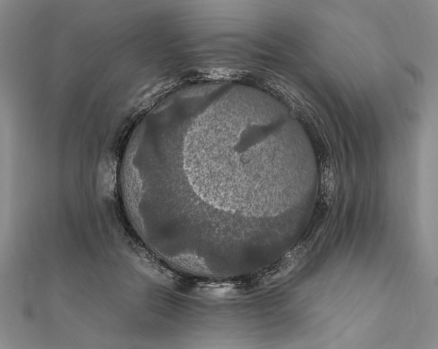 X0000111860554200908061338