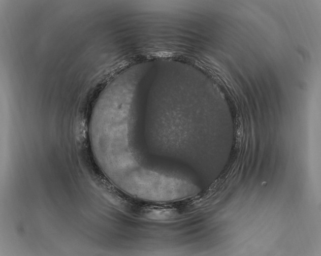 X0000111860555200908061338