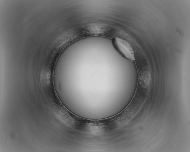 X0000111860556200908061338