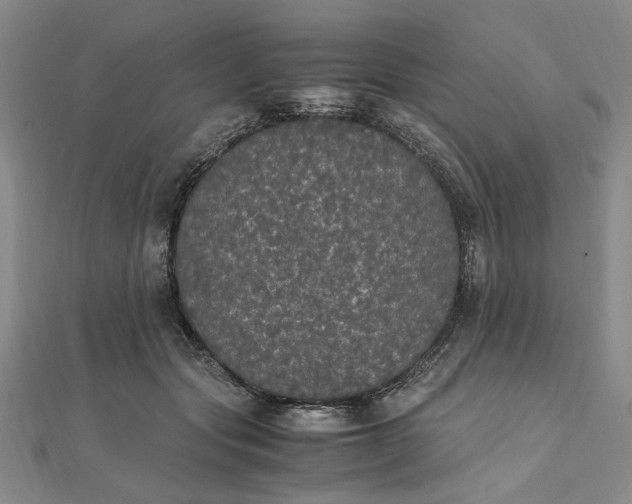 X0000111860557200908061338