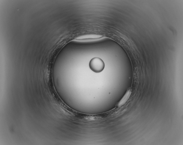 X0000111860558200908061338