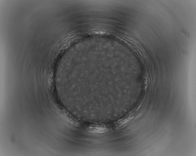 X0000111860559200908061338