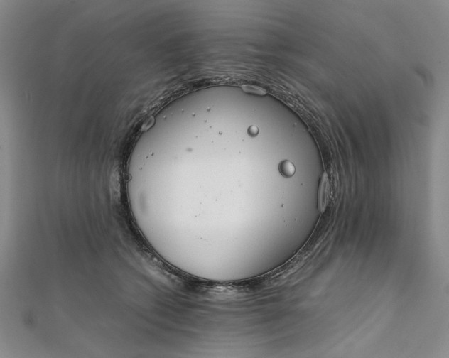 X0000111860562200908061338