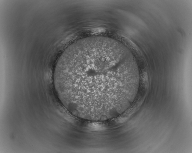 X0000111860565200908061338