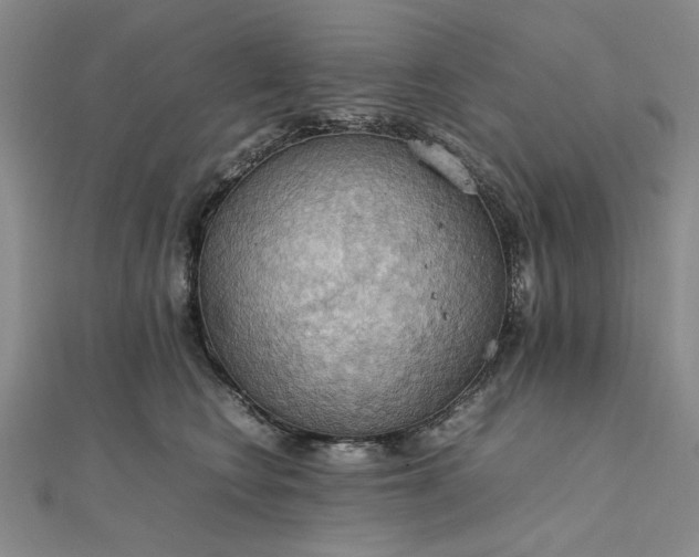 X0000111860566200908061338