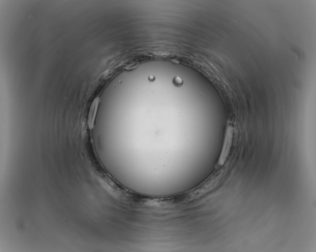 X0000111860568200908061338